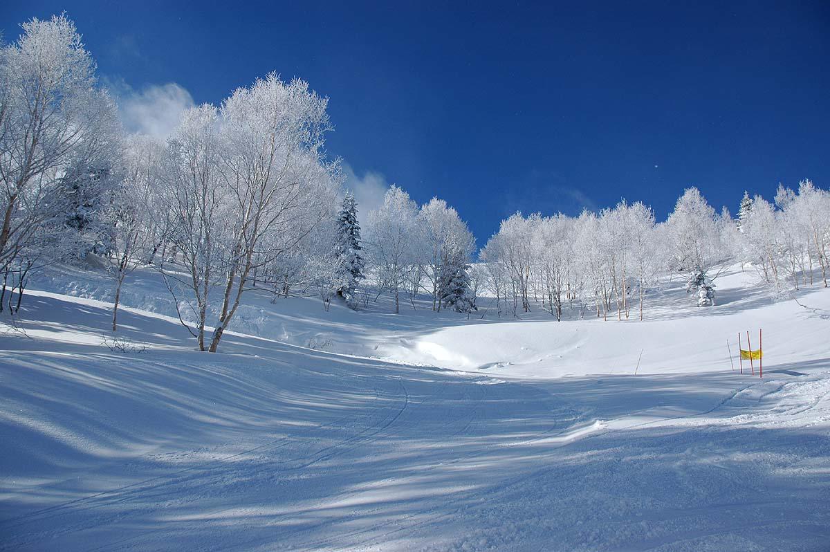 【スキー】志賀高原で統一でスキー場開き　一部はコース開放も