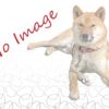 Thumbnail of post image 057